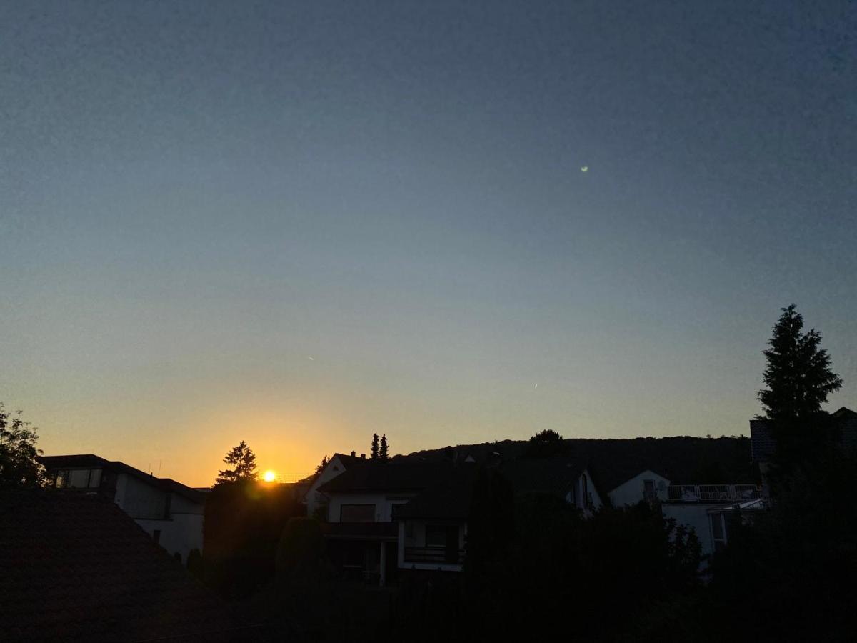 The Beverly Hills Of Frankfurt In Hofheim Penthouse Or Garden Buitenkant foto